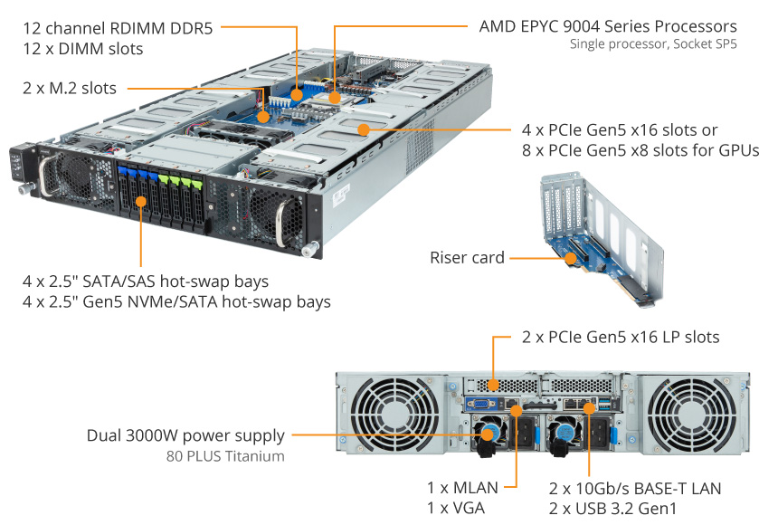 G293-Z21-AAP1 Product Overview